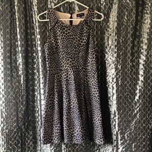 •Navy Blue & Nude Lace Dress•